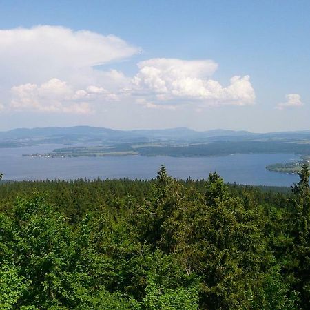 Apartment Na Rozcesti Lipno nad Vltavou Dış mekan fotoğraf